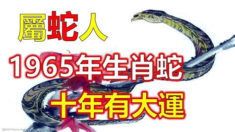 1965年屬蛇|【1965 蛇】1965年蛇年生肖屬相、命理和2023年運勢。